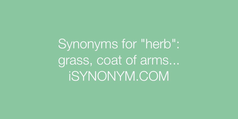 Synonyms herb
