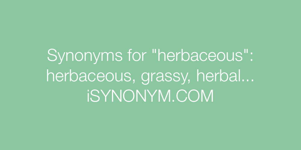 Synonyms herbaceous