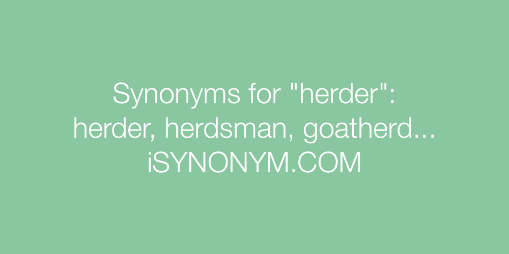 Synonyms herder