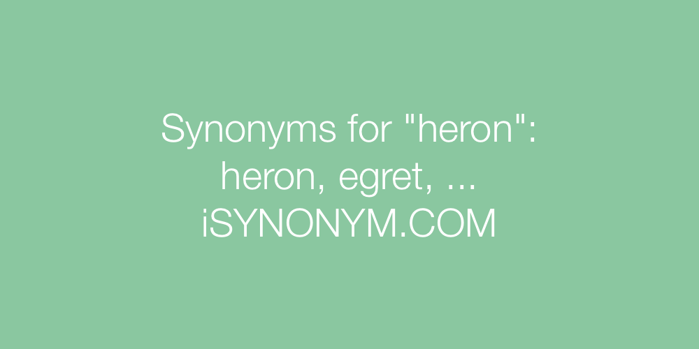 Synonyms heron