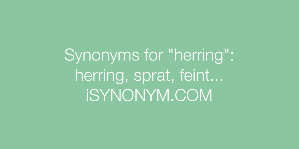 Synonyms herring