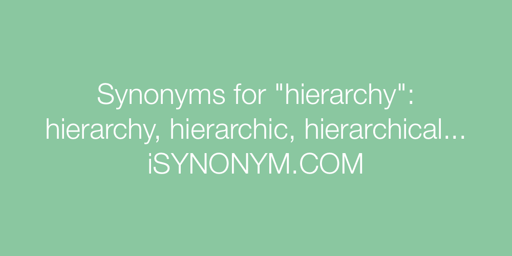 Synonyms hierarchy