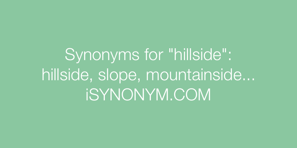 Synonyms hillside