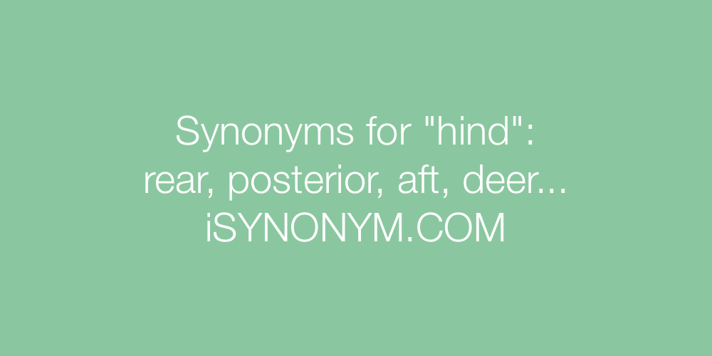 Synonyms hind
