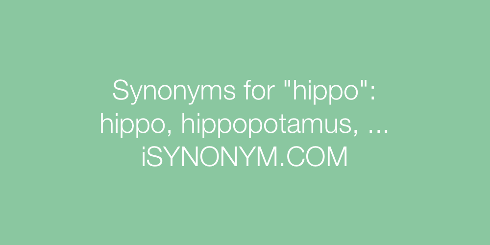 Synonyms hippo