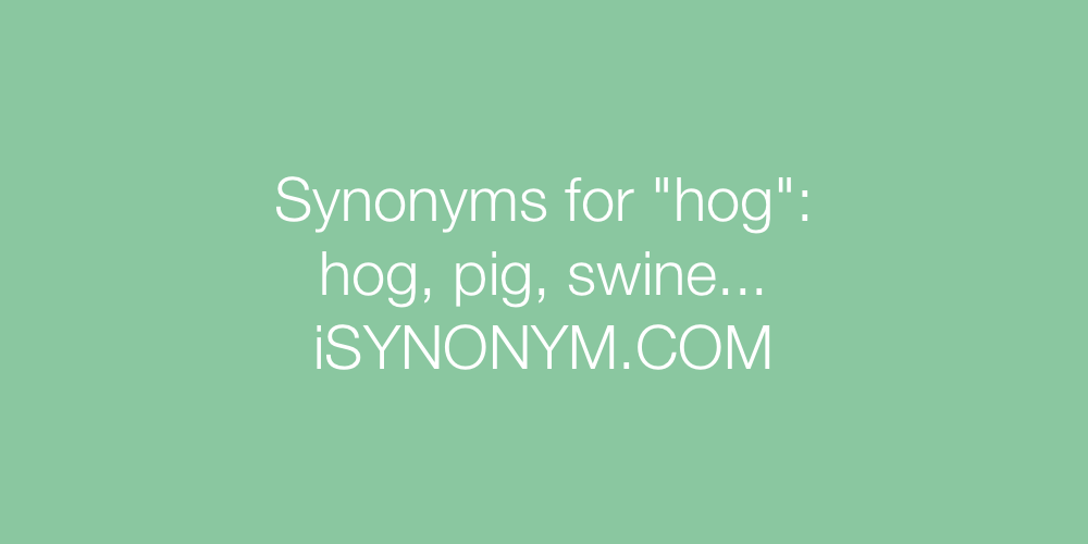 Synonyms hog