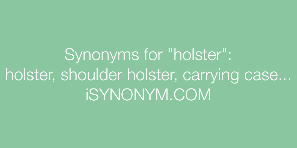 Synonyms holster