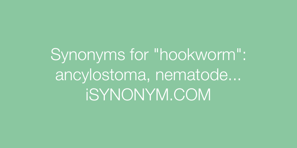 Synonyms hookworm