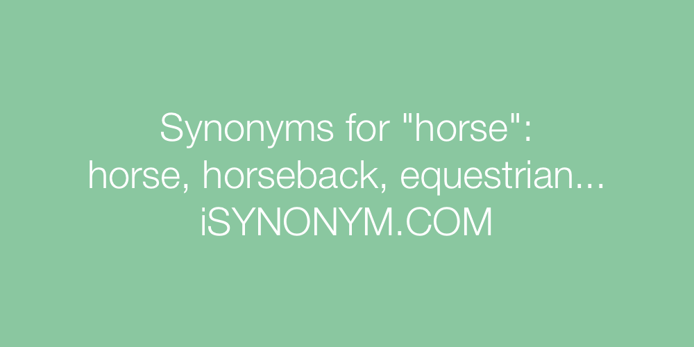Synonyms horse