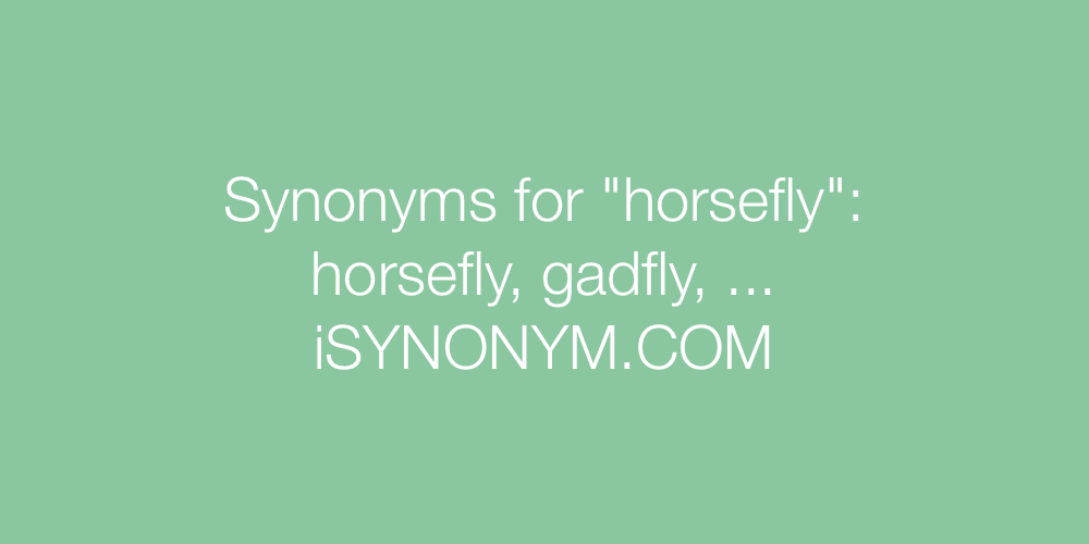 Synonyms horsefly
