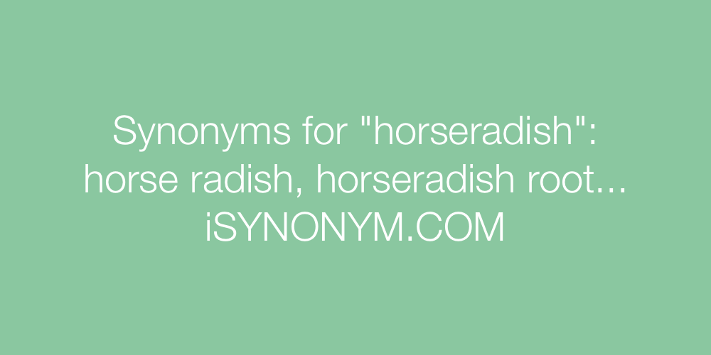 Synonyms horseradish