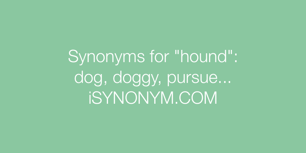 Synonyms hound