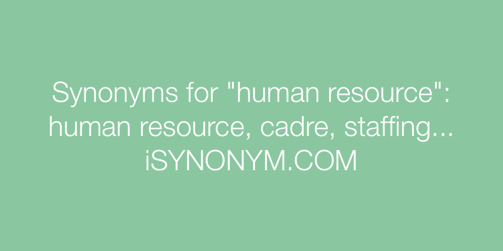 Synonyms human resource