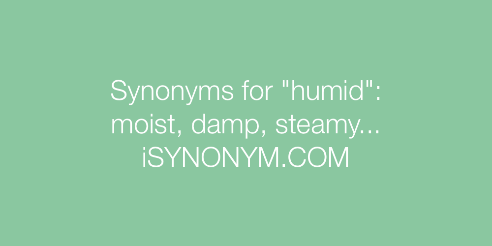 Synonyms humid