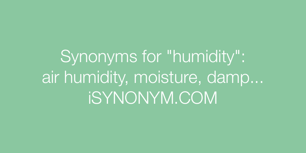 Synonyms humidity