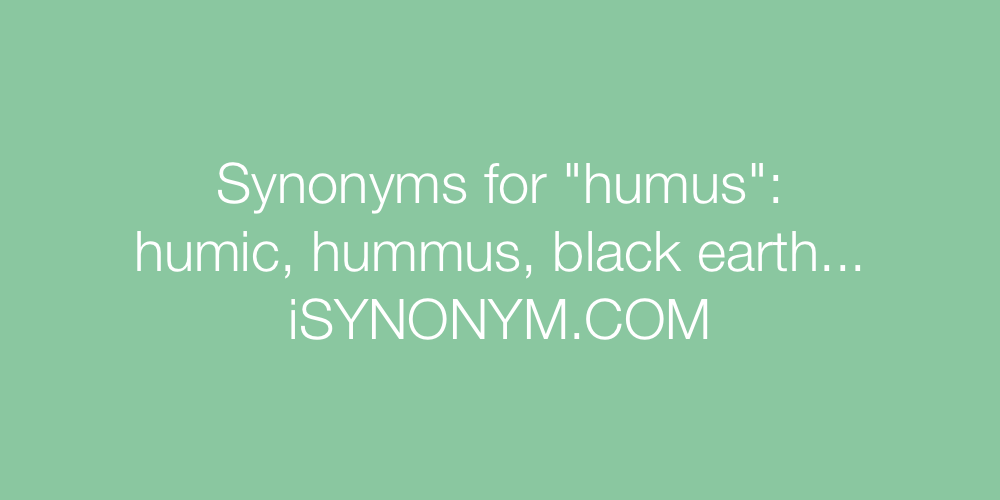 Synonyms humus