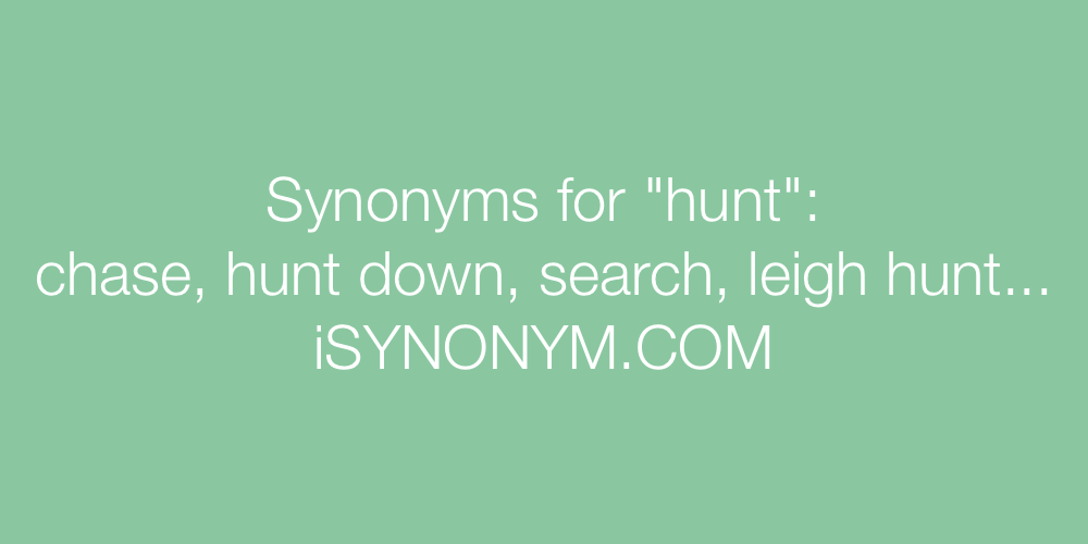 Synonyms hunt