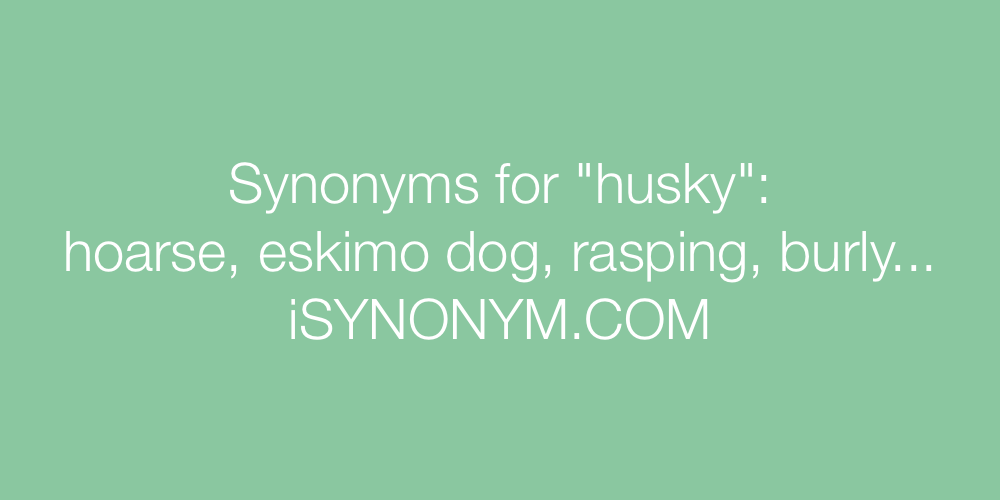 Synonyms husky