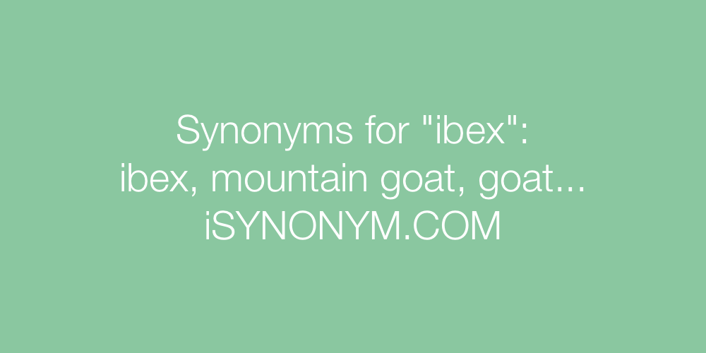 Synonyms ibex
