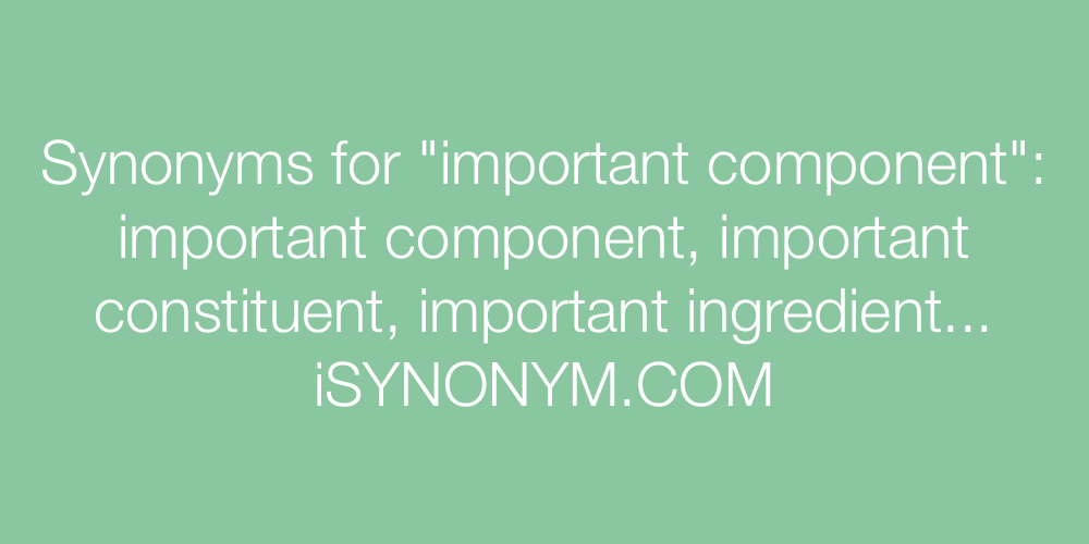 Synonyms important component
