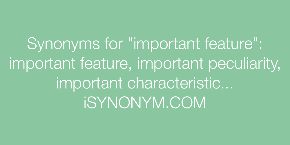 Synonyms important feature