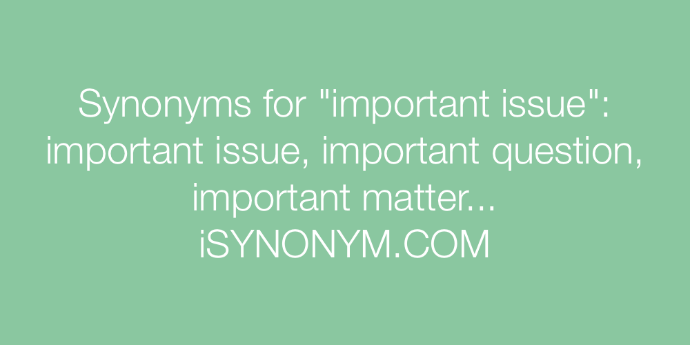 Synonyms important issue