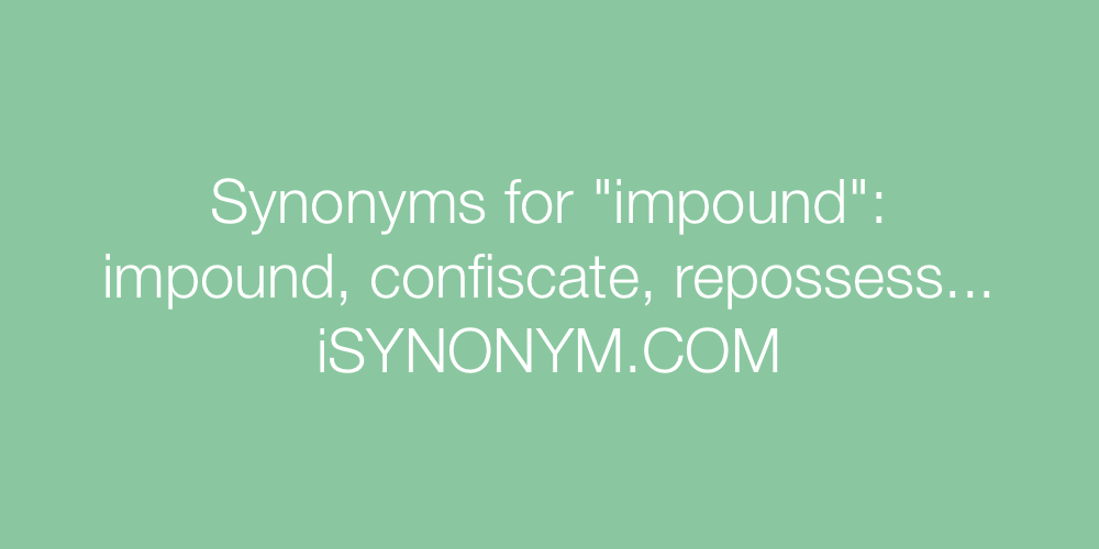 Synonyms impound