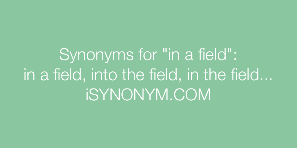 Synonyms in a field