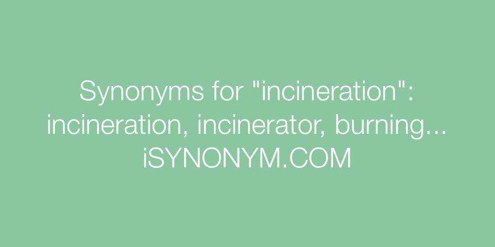 Synonyms incineration