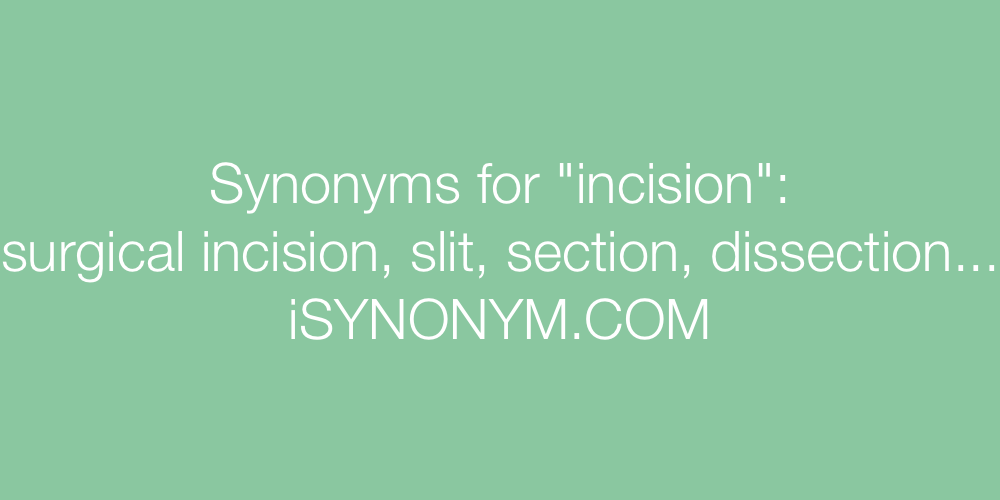 Synonyms incision