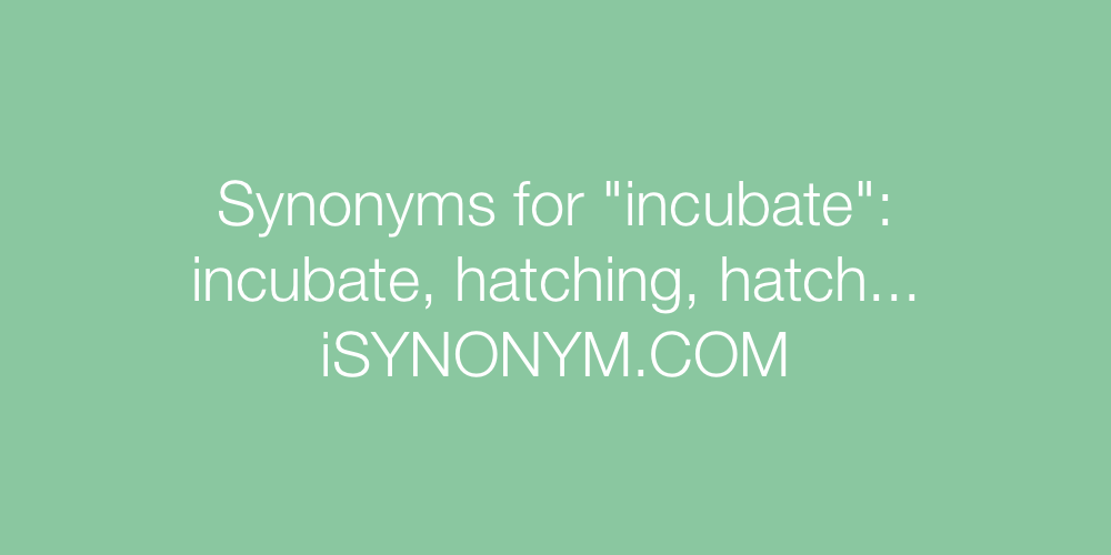 Synonyms incubate