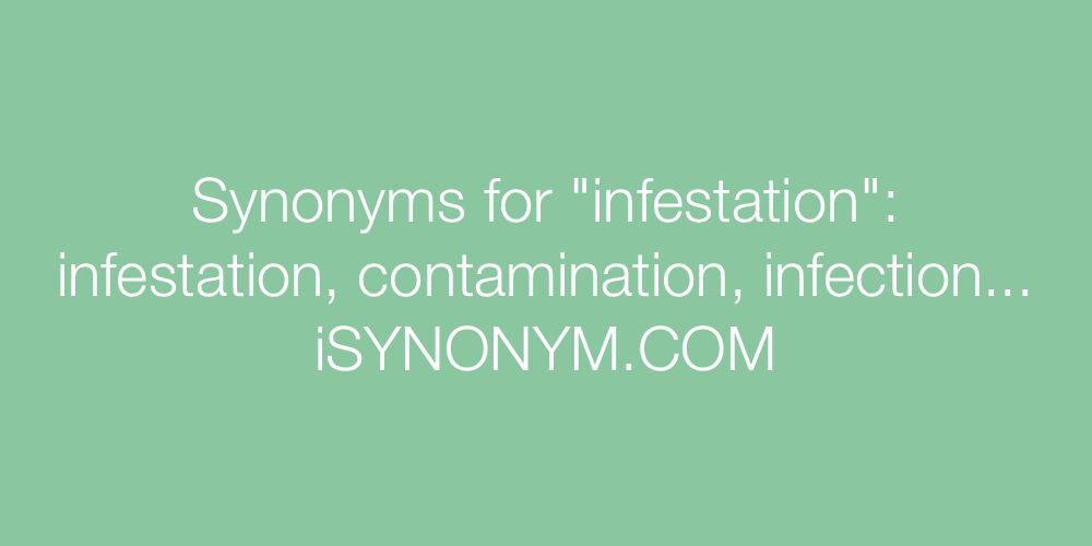 Synonyms infestation
