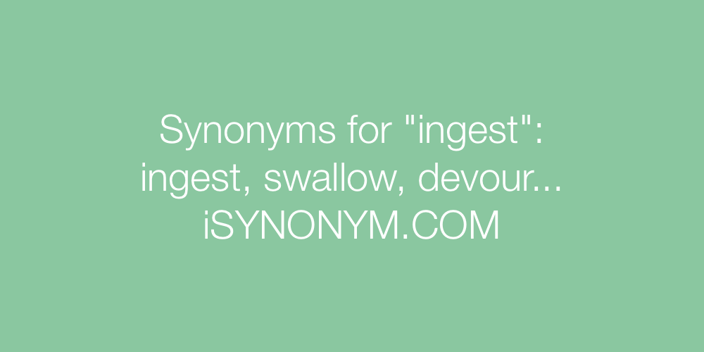 Synonyms ingest