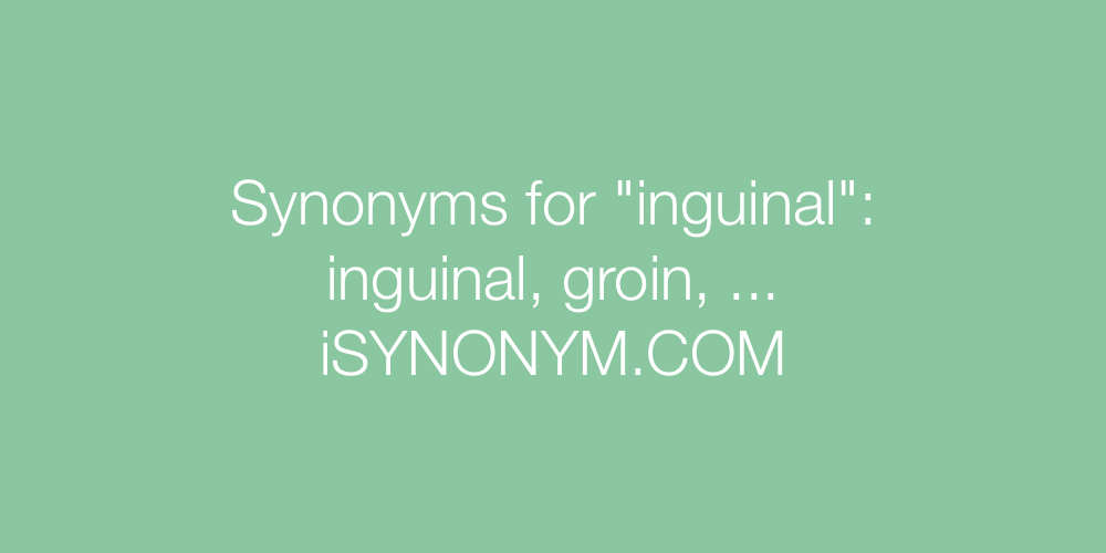 Synonyms inguinal