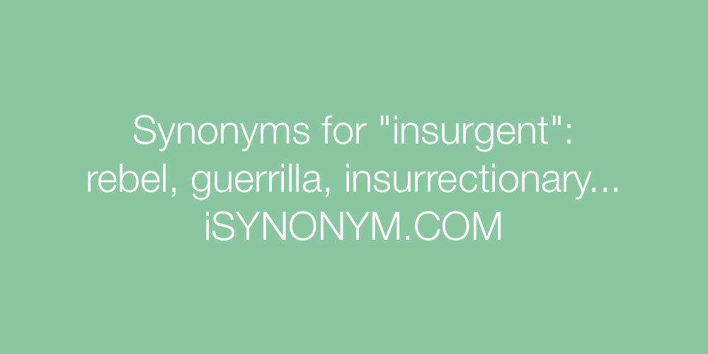 Synonyms insurgent