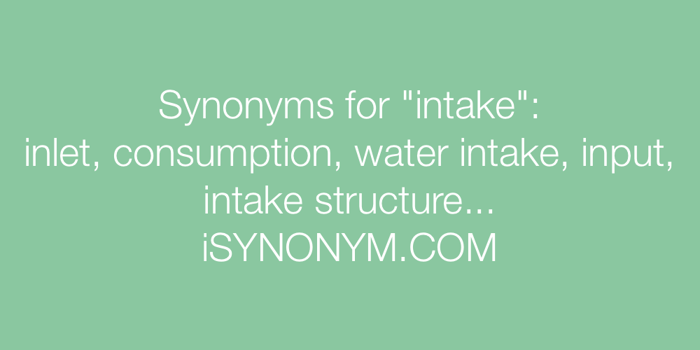 Synonyms intake