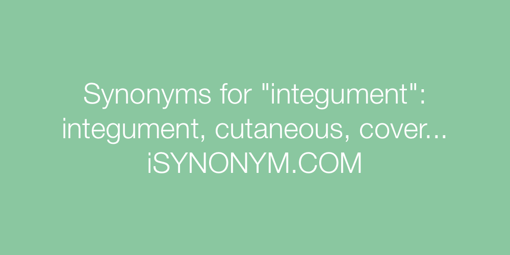 Synonyms integument