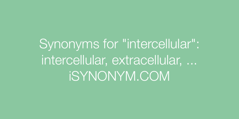 Synonyms intercellular