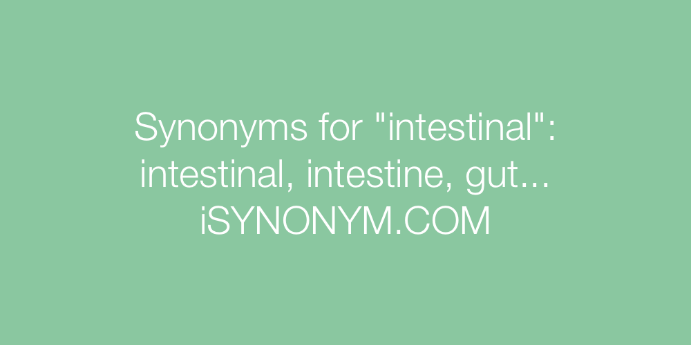 Synonyms intestinal