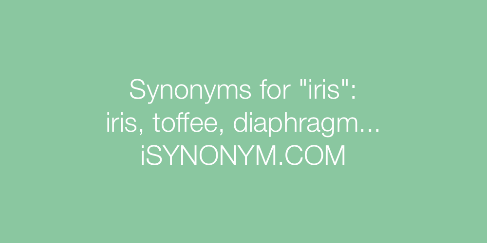 Synonyms iris