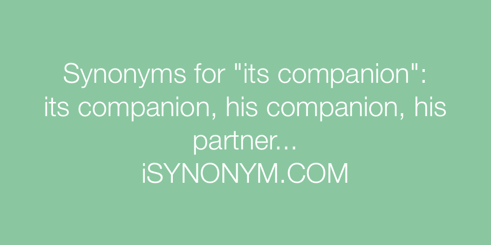 Synonyms its companion