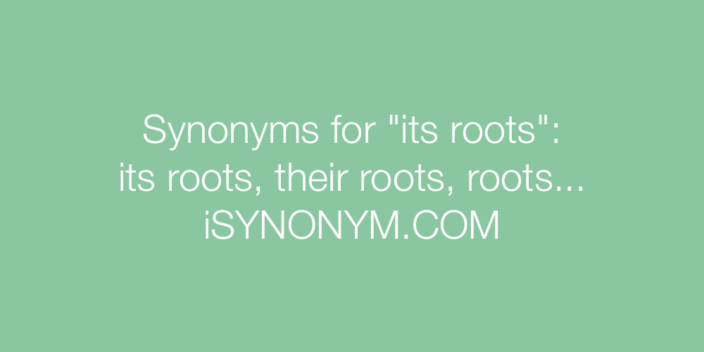 Synonyms its roots