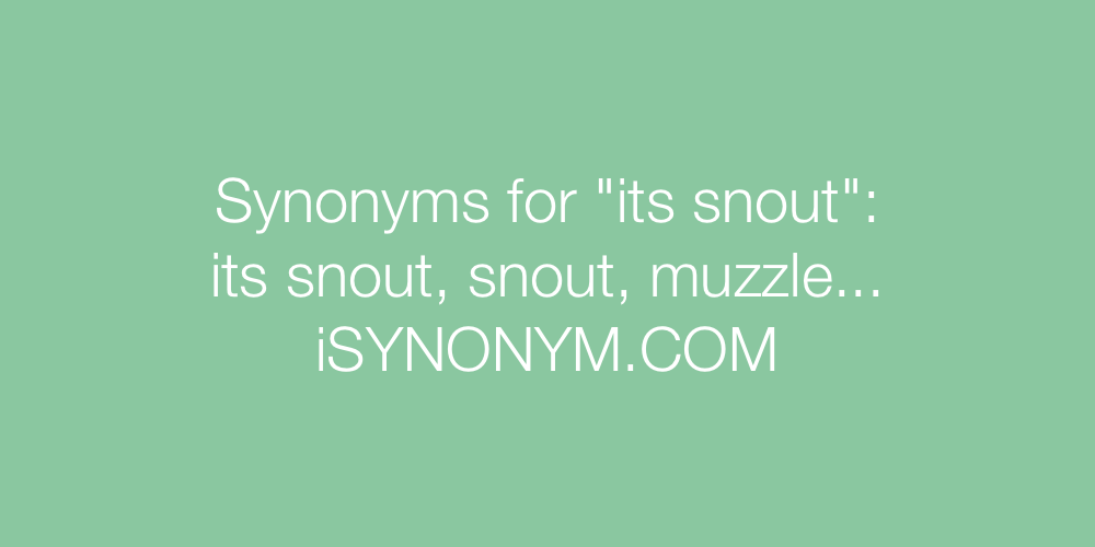 Synonyms its snout