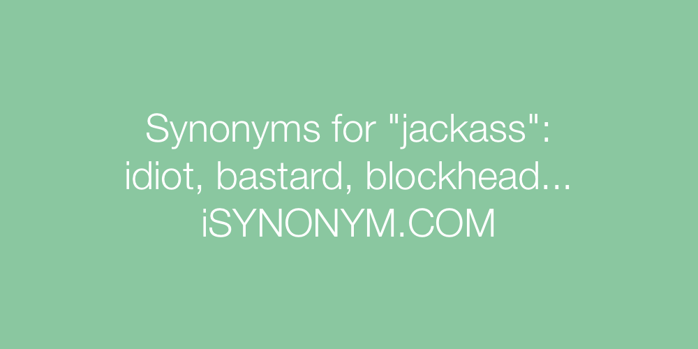 Synonyms jackass