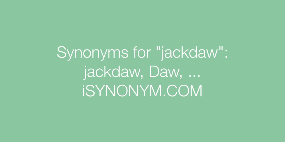 Synonyms jackdaw