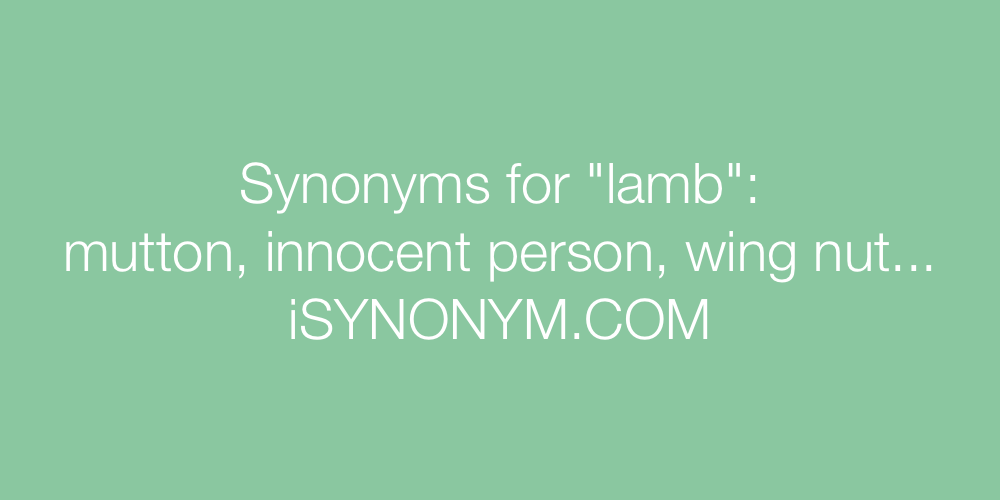 Synonyms lamb