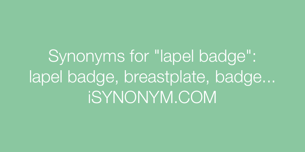 Synonyms lapel badge