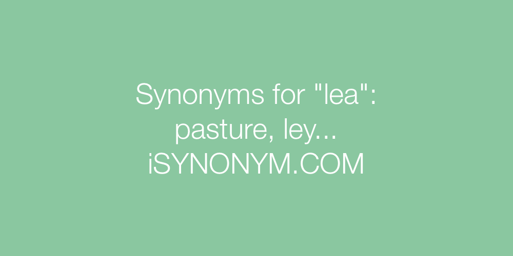 Synonyms lea