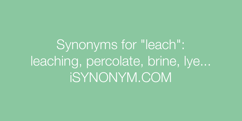 Synonyms leach