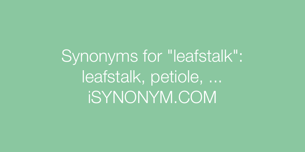 Synonyms leafstalk